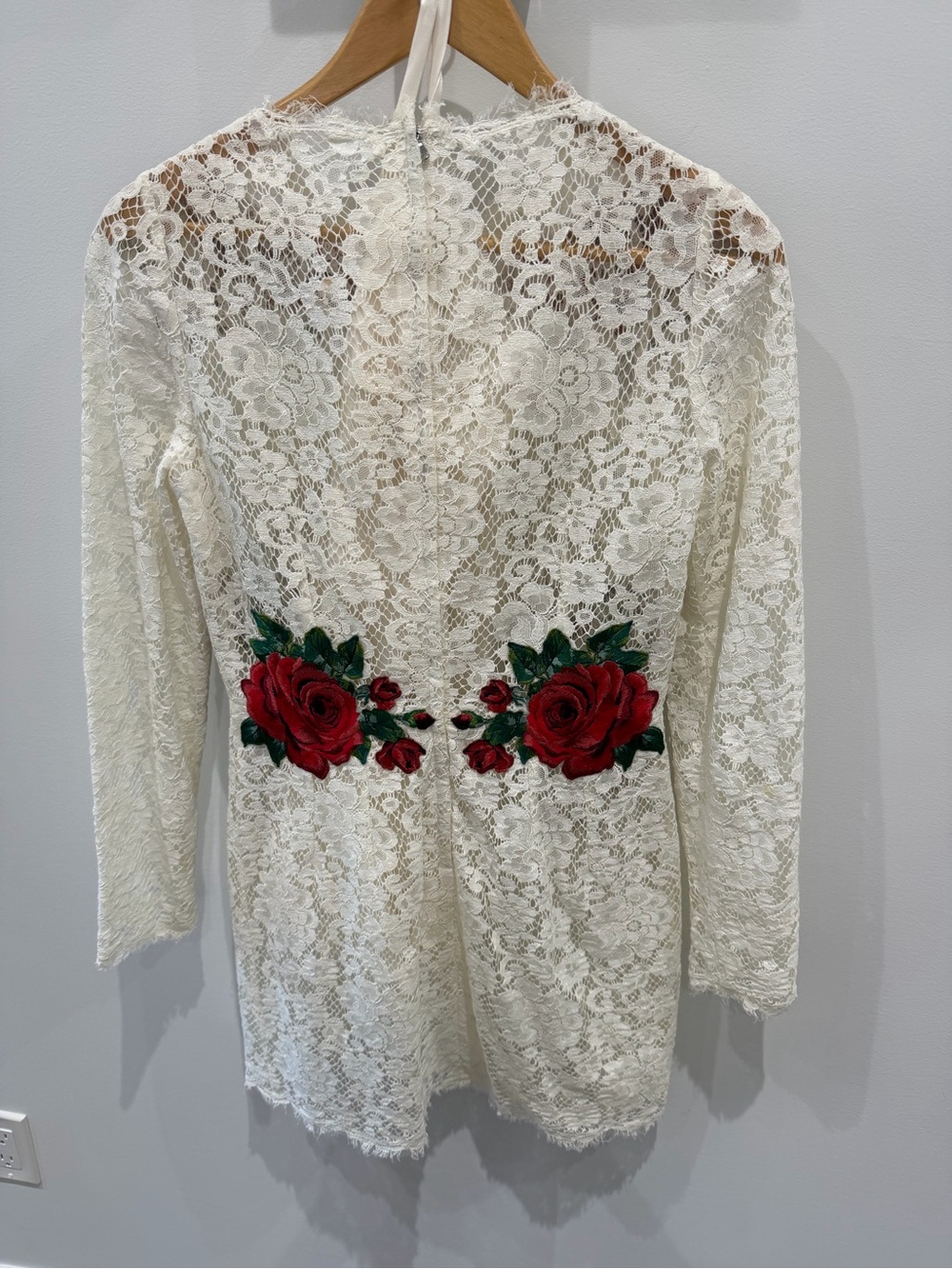 Dolce & Gabbana White Lace Mini Dress with Red Rose Embroidery - Picture 2 of 7